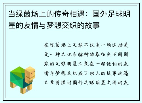 当绿茵场上的传奇相遇：国外足球明星的友情与梦想交织的故事